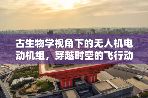 古生物学视角下的无人机电动机组，穿越时空的飞行动力