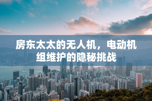 房东太太的无人机，电动机组维护的隐秘挑战