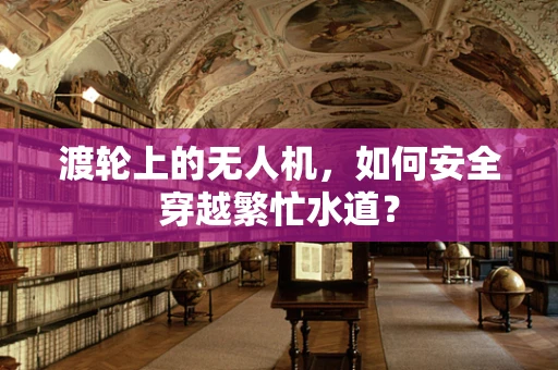渡轮上的无人机，如何安全穿越繁忙水道？