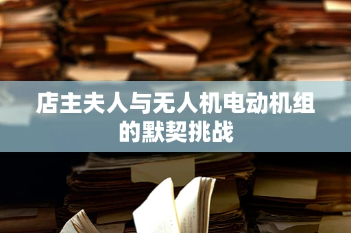 店主夫人与无人机电动机组的默契挑战