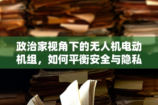 政治家视角下的无人机电动机组，如何平衡安全与隐私的边界？