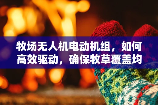 牧场无人机电动机组，如何高效驱动，确保牧草覆盖均匀？