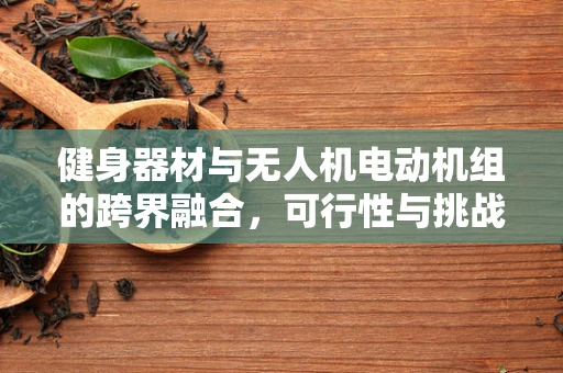 健身器材与无人机电动机组的跨界融合，可行性与挑战何在？
