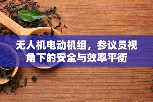 无人机电动机组，参议员视角下的安全与效率平衡