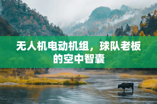 无人机电动机组，球队老板的空中智囊
