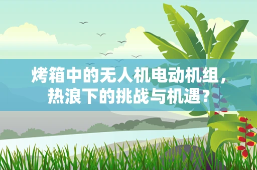 烤箱中的无人机电动机组，热浪下的挑战与机遇？