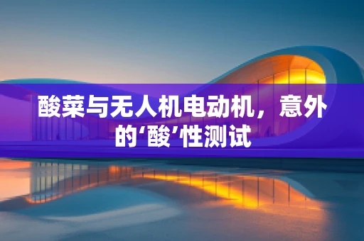 酸菜与无人机电动机，意外的‘酸’性测试
