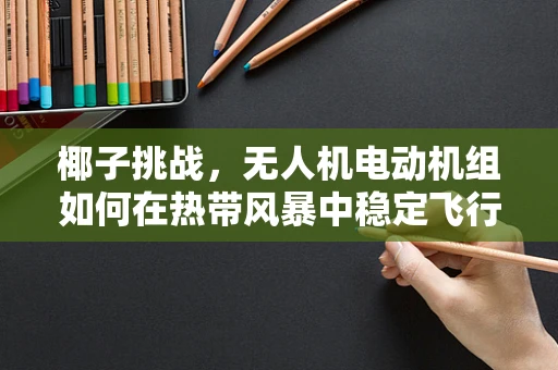 椰子挑战，无人机电动机组如何在热带风暴中稳定飞行？
