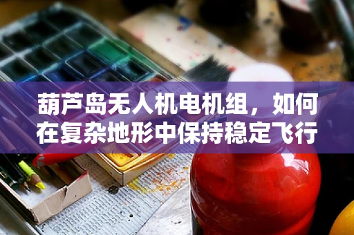 葫芦岛无人机电机组，如何在复杂地形中保持稳定飞行？
