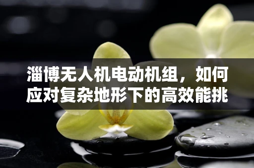淄博无人机电动机组，如何应对复杂地形下的高效能挑战？