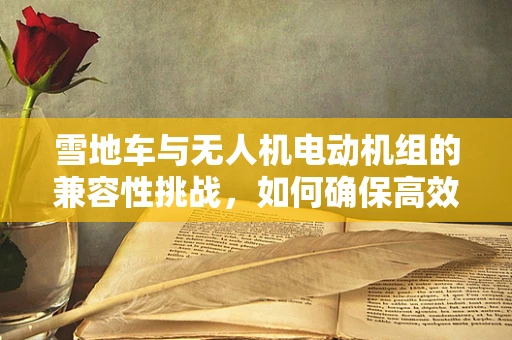 雪地车与无人机电动机组的兼容性挑战，如何确保高效驱动？