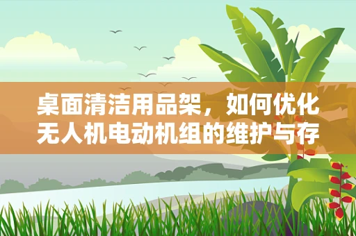 桌面清洁用品架，如何优化无人机电动机组的维护与存放？