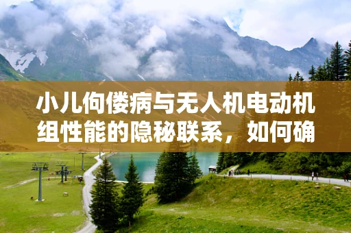 小儿佝偻病与无人机电动机组性能的隐秘联系，如何确保飞行安全？