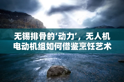 无锡排骨的‘动力’，无人机电动机组如何借鉴烹饪艺术？