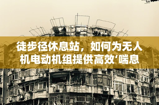 徒步径休息站，如何为无人机电动机组提供高效‘喘息’空间？