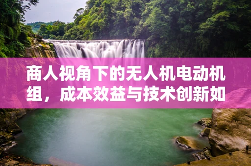 商人视角下的无人机电动机组，成本效益与技术创新如何平衡？