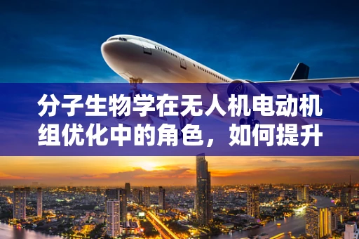 分子生物学在无人机电动机组优化中的角色，如何提升性能与耐久性？