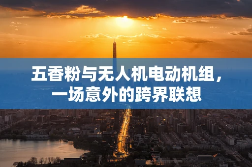 五香粉与无人机电动机组，一场意外的跨界联想