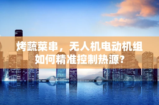烤蔬菜串，无人机电动机组如何精准控制热源？