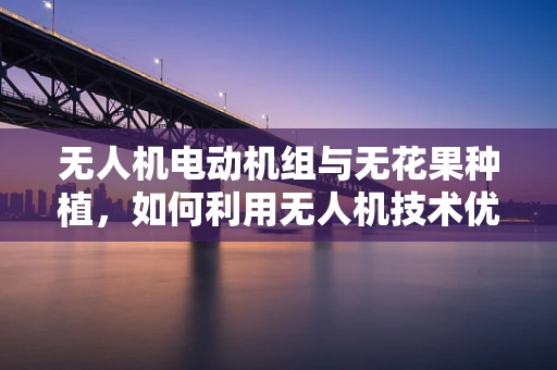 无人机电动机组与无花果种植，如何利用无人机技术优化无花果园的灌溉效率？