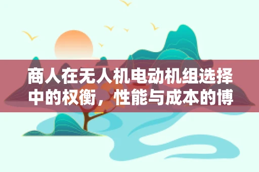 商人在无人机电动机组选择中的权衡，性能与成本的博弈