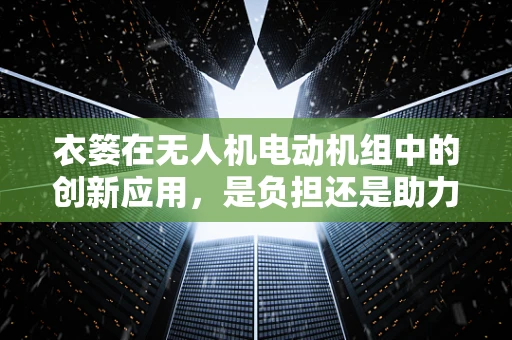 衣篓在无人机电动机组中的创新应用，是负担还是助力？