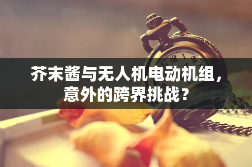 芥末酱与无人机电动机组，意外的跨界挑战？