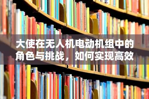 大使在无人机电动机组中的角色与挑战，如何实现高效协调？