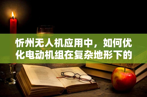 忻州无人机应用中，如何优化电动机组在复杂地形下的性能？