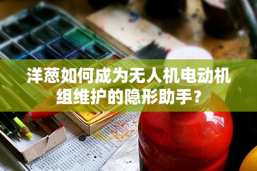 洋葱如何成为无人机电动机组维护的隐形助手？