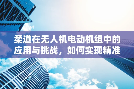 柔道在无人机电动机组中的应用与挑战，如何实现精准控制与安全避障？