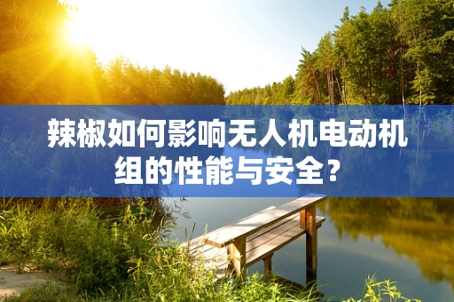 辣椒如何影响无人机电动机组的性能与安全？
