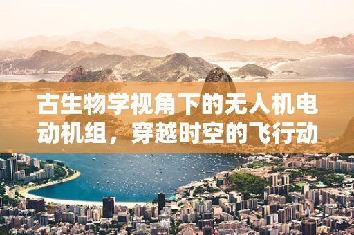 古生物学视角下的无人机电动机组，穿越时空的飞行动力探索