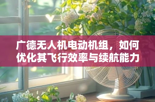 广德无人机电动机组，如何优化其飞行效率与续航能力？