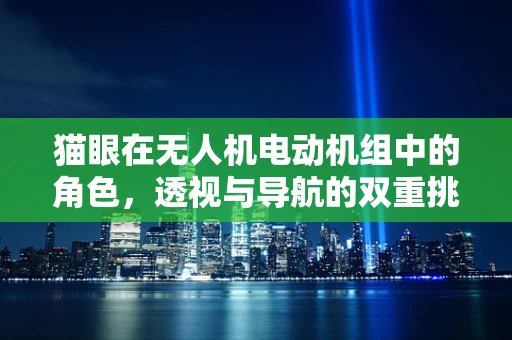 猫眼在无人机电动机组中的角色，透视与导航的双重挑战