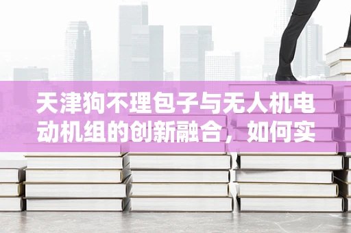 天津狗不理包子与无人机电动机组的创新融合，如何实现空中美食配送的梦想？