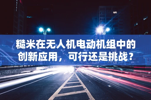糙米在无人机电动机组中的创新应用，可行还是挑战？