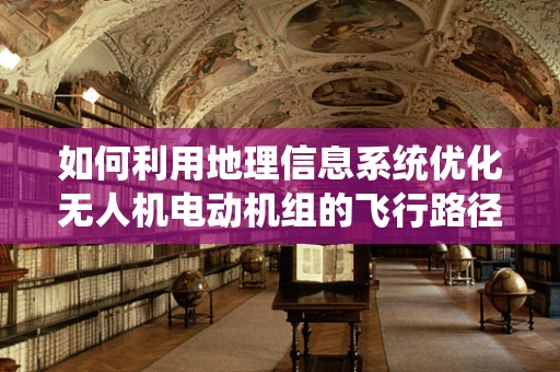 如何利用地理信息系统优化无人机电动机组的飞行路径？