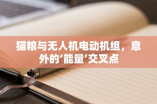 猫粮与无人机电动机组，意外的‘能量’交叉点