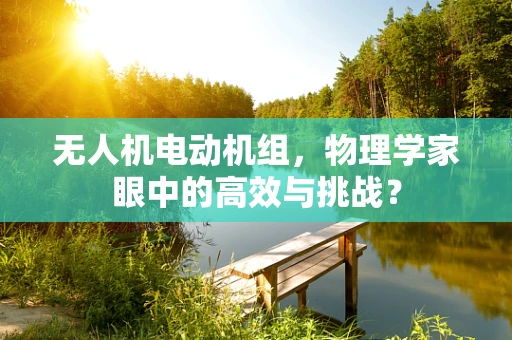 无人机电动机组，物理学家眼中的高效与挑战？