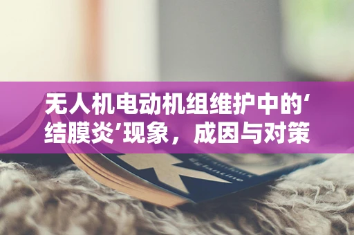无人机电动机组维护中的‘结膜炎’现象，成因与对策