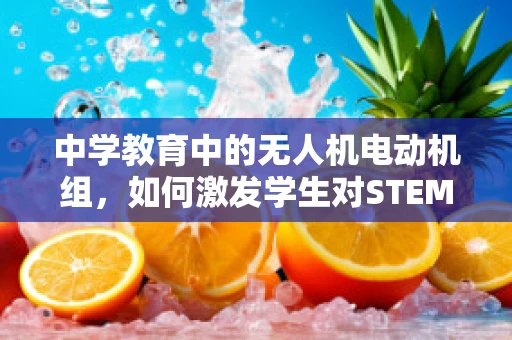 中学教育中的无人机电动机组，如何激发学生对STEM的兴趣？
