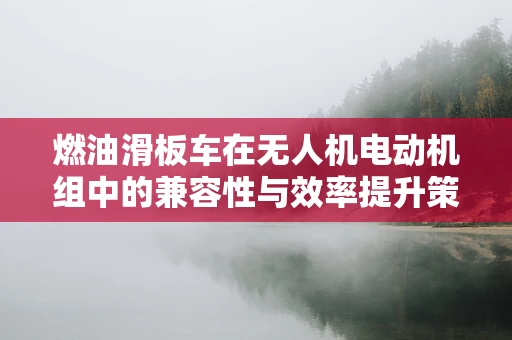 燃油滑板车在无人机电动机组中的兼容性与效率提升策略