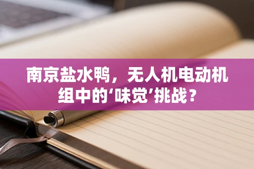 南京盐水鸭，无人机电动机组中的‘味觉’挑战？
