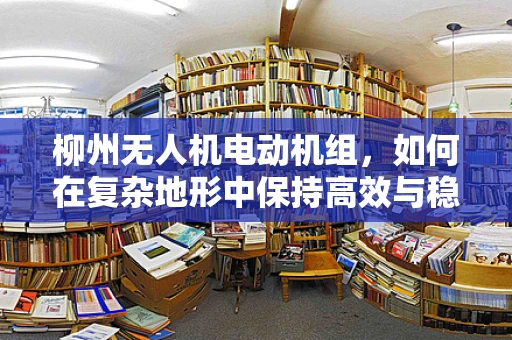 柳州无人机电动机组，如何在复杂地形中保持高效与稳定？