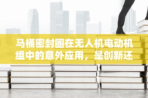 马桶密封圈在无人机电动机组中的意外应用，是创新还是误解？