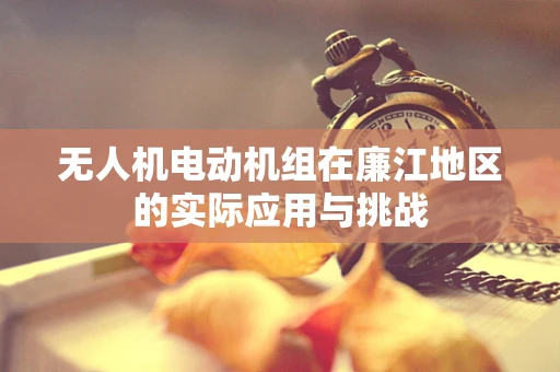 无人机电动机组在廉江地区的实际应用与挑战