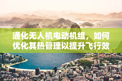 通化无人机电动机组，如何优化其热管理以提升飞行效率？