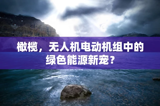 橄榄，无人机电动机组中的绿色能源新宠？