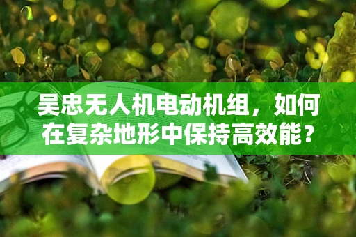 吴忠无人机电动机组，如何在复杂地形中保持高效能？